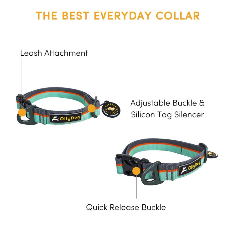 OllyDog Flagstaff Collar, Webbing Dog Collar with Side-Release Buckle, Lightweight Training Collar for Large, Medium and Small Dogs (Large, Surf) - Image 2